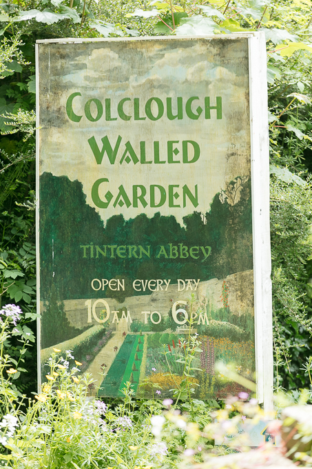 Tintern June 2018 (006)